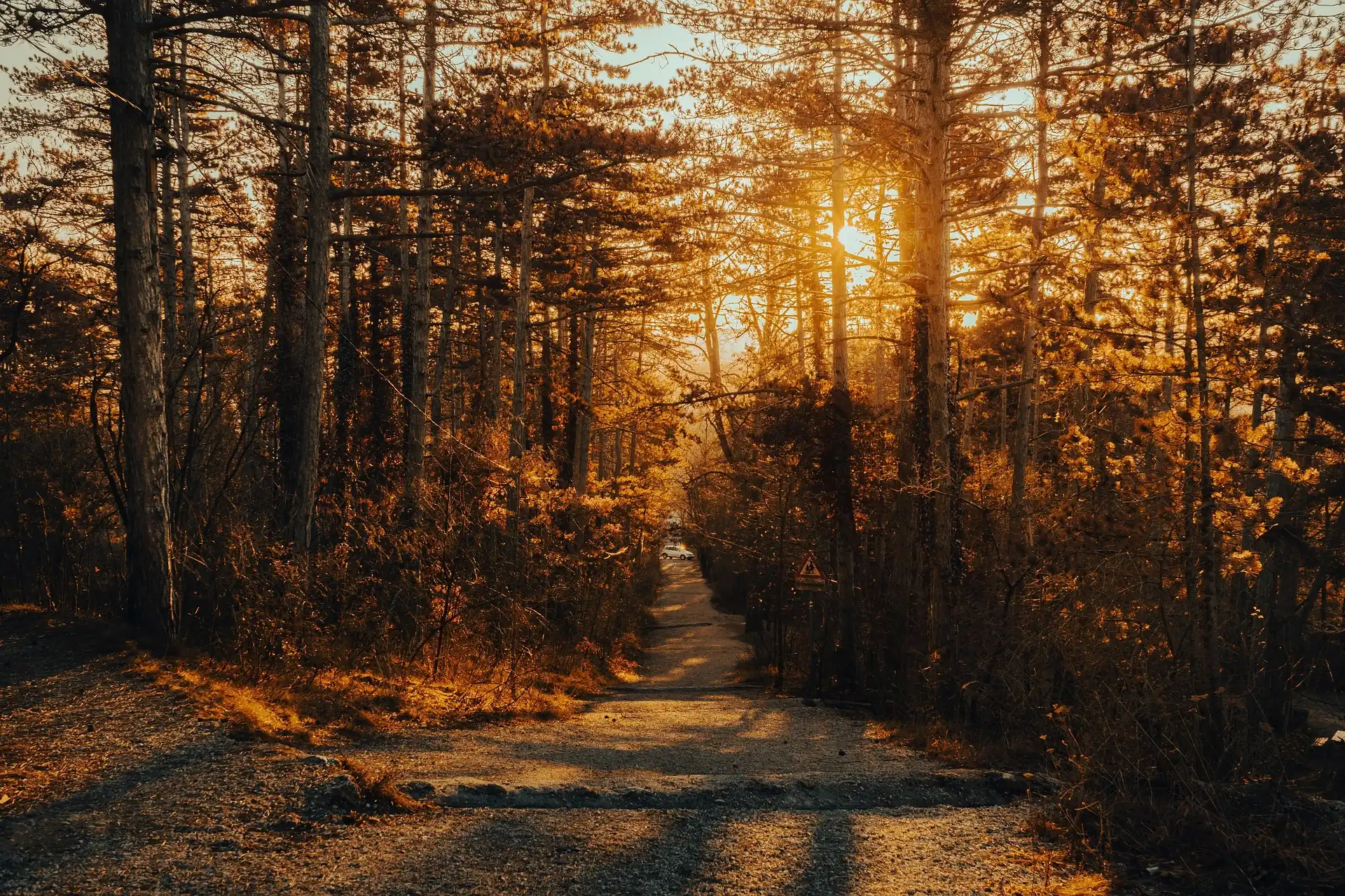 michael_pointner-path-7387018_1920